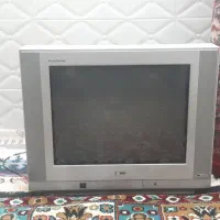 تلویزیون