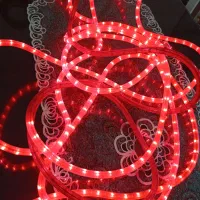 دو عدد ریسه شیلنگی به متراژ هرکدام 12متر|ریسه و چراغ تزئینی|اهواز, منازل کارون|دیوار