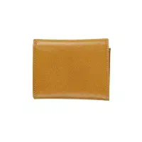 کیف پول گمشده