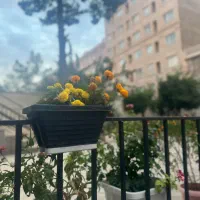 اجاره آپارتمان در بلوار فردوس شرق