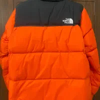 کاپشن اورجینال North Face|لباس|تهران, صادقیه|دیوار