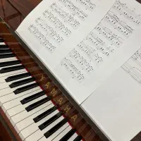 پیانو طرح آکوستیک p48|پیانو، کیبورد، آکاردئون|مشهد, بهاران|دیوار