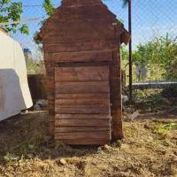 خانه لوکس و مقاوم سگهای بزرگ|لوازم جانبی حیوانات|باغستان, |دیوار