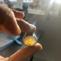 انگشتر فیروزه و شجر نقره۹۲۵|جواهرات|شاهرود, |دیوار