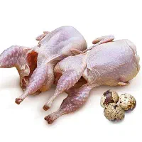 بلدرچین ارگانیک خونگی