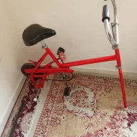 دوچرخه ثابت