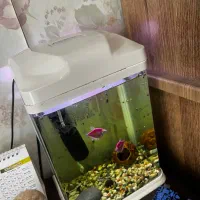 آکواریوم همراه با فیلتر آب