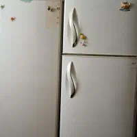 دوعدد یخچال