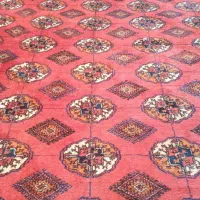 قالی ترکمنی فروشی|فرش|گنبد کاووس, |دیوار