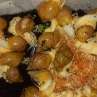 فروشگاه حلزون و ملزومات نگهداری|خزنده|کرج, اتحاد|دیوار