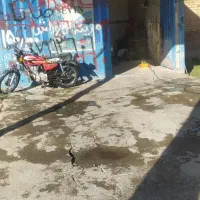 کار در کارواش