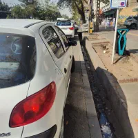 ۲۰۶تیپ ۲مدل۱۴۰۱|خودرو سواری و وانت|مشهد, مصلی (کارمندان اول)|دیوار