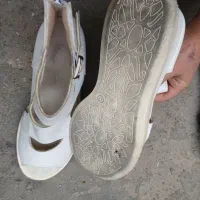 کفش|کیف، کفش، کمربند|بستان آباد, |دیوار