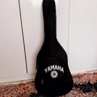 گیتار ، همراه با کیف