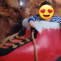 دکور آتلیه|دوربین عکاسی و فیلمبرداری|مشهد, نوده|دیوار