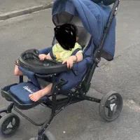 کالسکه دلیجان سورمه ای