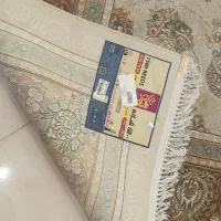 فرش قیطران 12متری|فرش|ری, دیلمان|دیوار