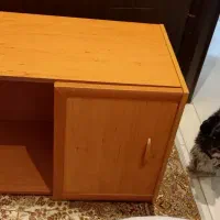 کلبه سگ وباکس گربه وسگ