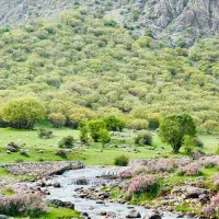 تور یک روزه آبشار ازنادر دورود