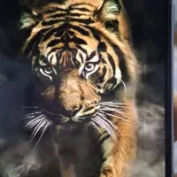 گوشی A33|موبایل|رضویه, |دیوار