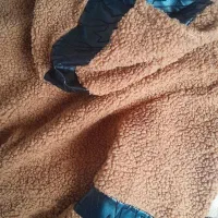 پالتو تدی|لباس|اردبیل, |دیوار