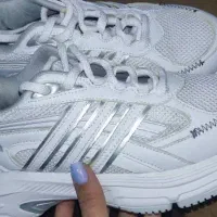 کفش|کیف، کفش، کمربند|یاسوج, |دیوار