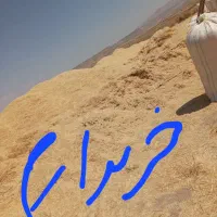 کاه گندم دیم