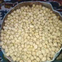 نخود|حراج|زرنه, |دیوار