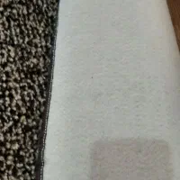 پالاز موکت پرز بلند|موکت|جوانرود, |دیوار