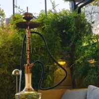 ۲۰ نیرو جهت کار در کافه رستوران|استخدام خدمات فروشگاه و رستوران|تهران, جردن|دیوار