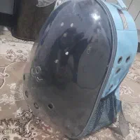 باکس حیوانات