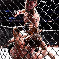 باشگاه تخصصی MMA و جوجیستو bjjو کاراته mfc|خدمات آموزشی|اردبیل, |دیوار