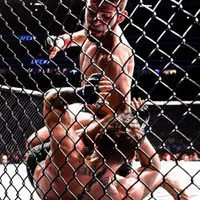 باشگاه تخصصی MMA و جوجیستو bjjو کاراته mfc|خدمات آموزشی|اردبیل, |دیوار