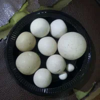 سنگ الماس آسیاب