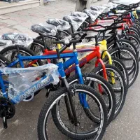 تنه دوچرخه کوهستان ۲۴/۲۶ طرح ویوا