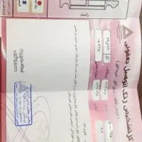 فروش|خودرو سواری و وانت|نیشابور, باغرود|دیوار