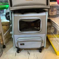 کوله ترولی چرخ دار زنانه تمام طلق چرم پشت چتری زی