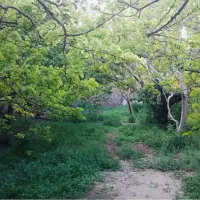 460-متر-باغ-مثمر-laquo-آراز-ملک-raquo-سند
