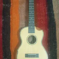 گیتار، یوکوله له