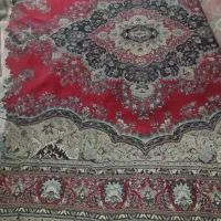 فرش در حد نو|فرش|زاهدان, |دیوار