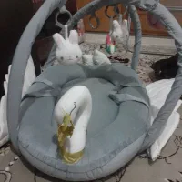 دشک بچه