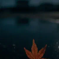 نظافت