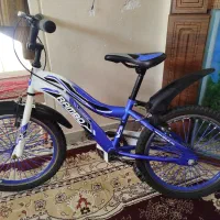 دوچرخه 20|دوچرخه، اسکیت، اسکوتر|شیراز, ریاستی|دیوار