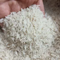 برنج طارم شمال