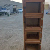 جفت کن کبوتر