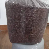 بذر پالم واشنگتن|خدمات باغبانی و درختکاری|کلارآباد, |دیوار