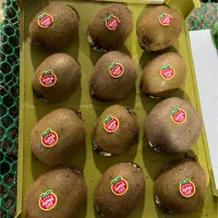 سبد تک رج کیوی|عمدهفروشی|اسالم, |دیوار