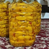 ترشی انبه رودان