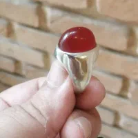 کلوخه آفریقایی