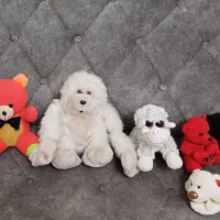 عروسک|اسباب‌‌بازی|کرمانشاه, |دیوار